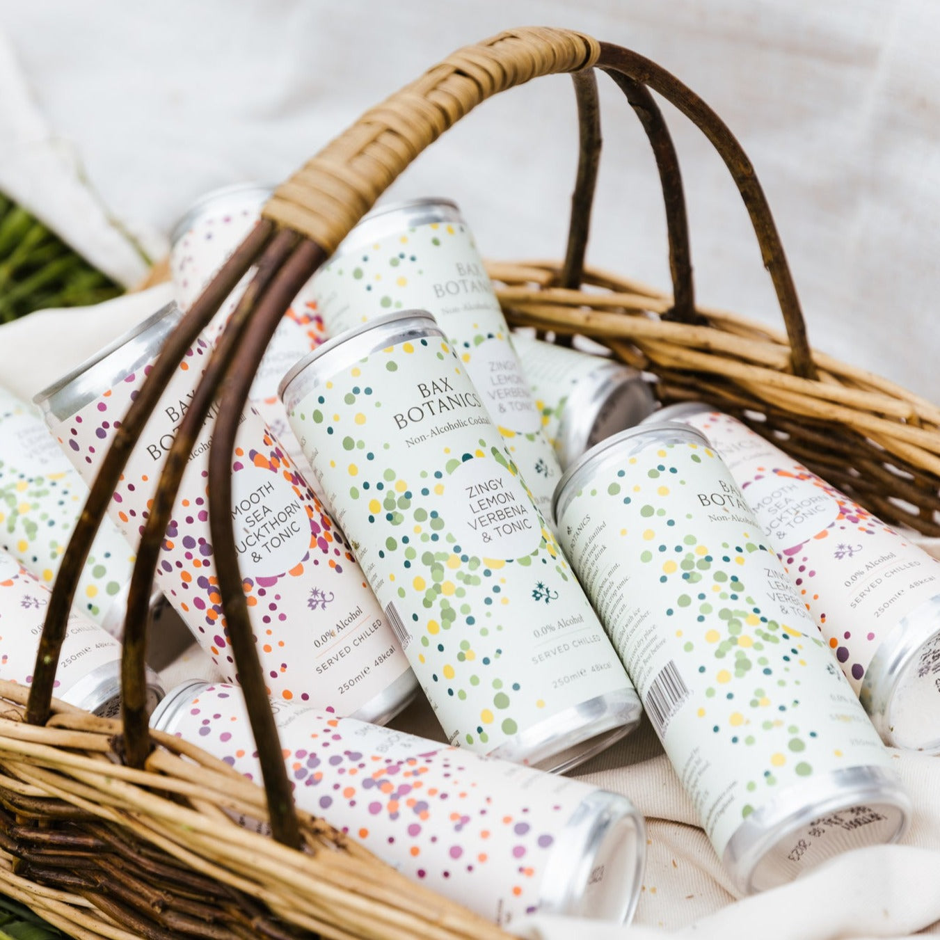 Gin & Tonic Ready to Drink 6 pack | by Bax Botanics