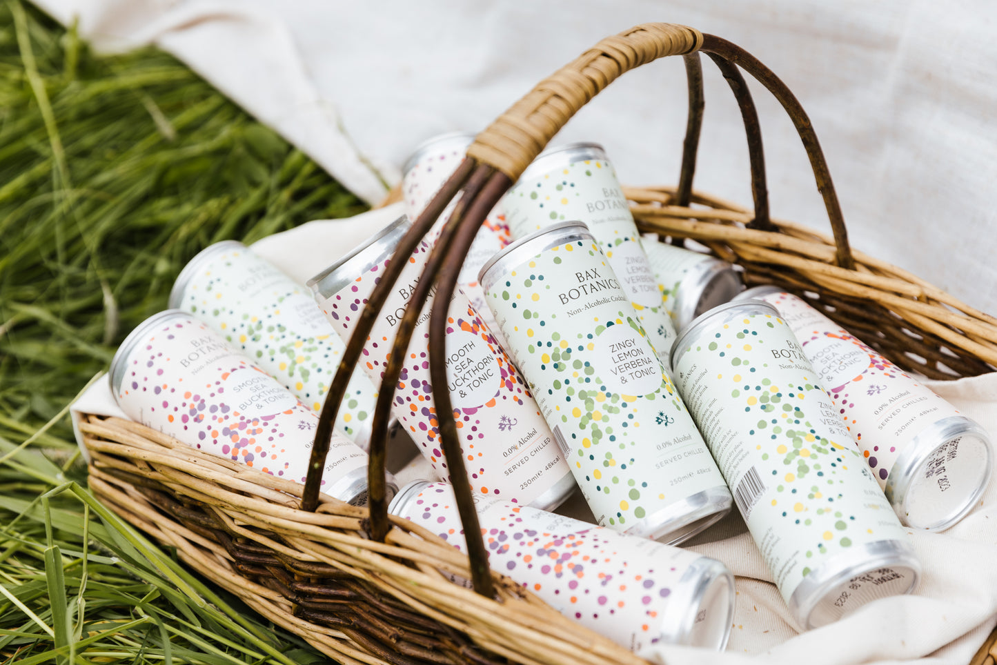Gin & Tonic Ready to Drink 6 pack | by Bax Botanics