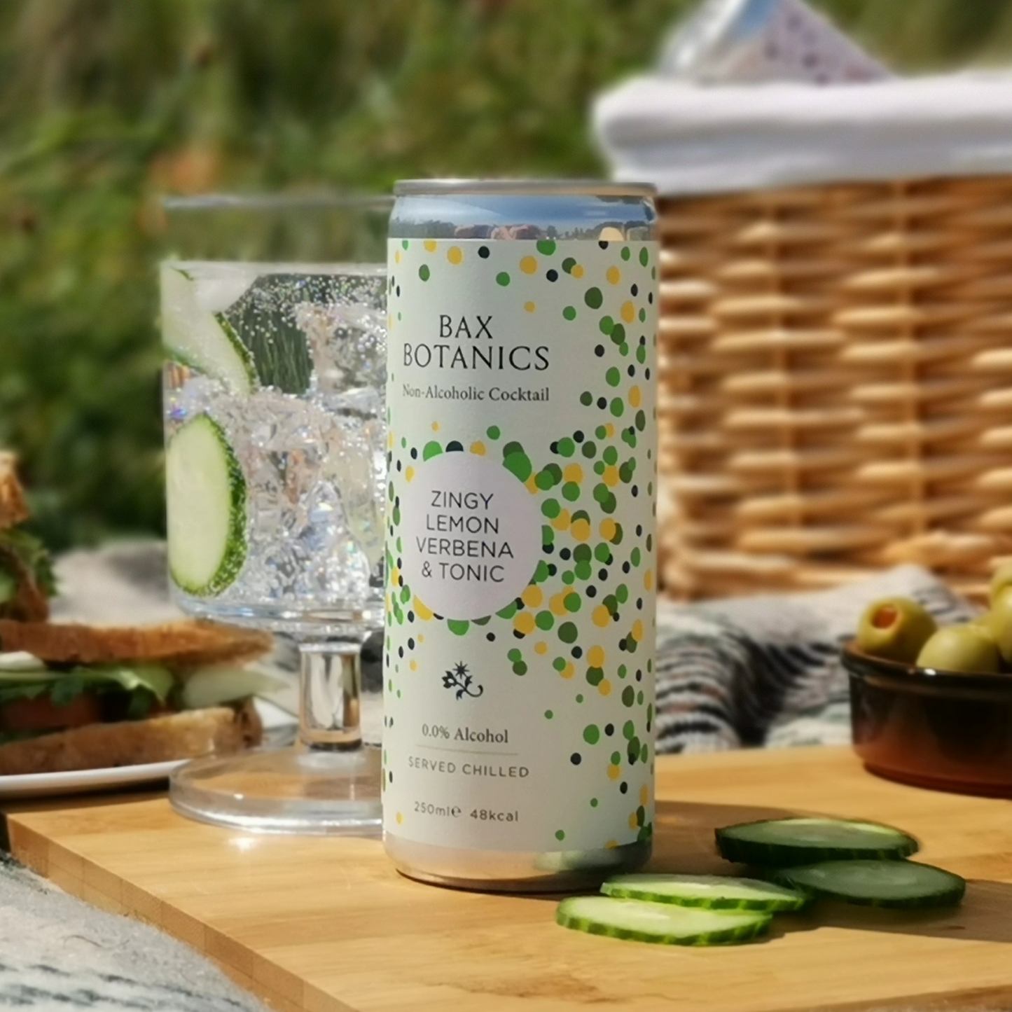 Gin & Tonic Ready to Drink 6 pack | by Bax Botanics